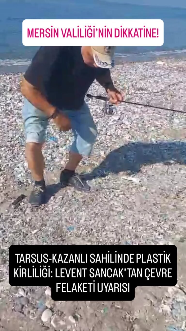 Ay, Bulutların Arasında Görsel Şölen Sundu Akşam saatlerinde gökyüzünde beliren…