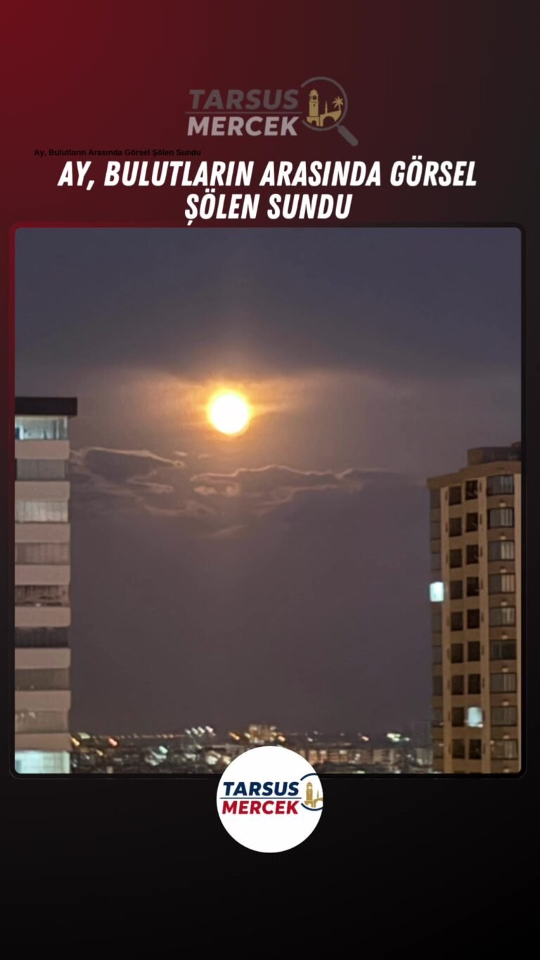 Tarsus’ta ortaya çıkan bu görüntü, “Bu kadarına da pes!” dedirtti….