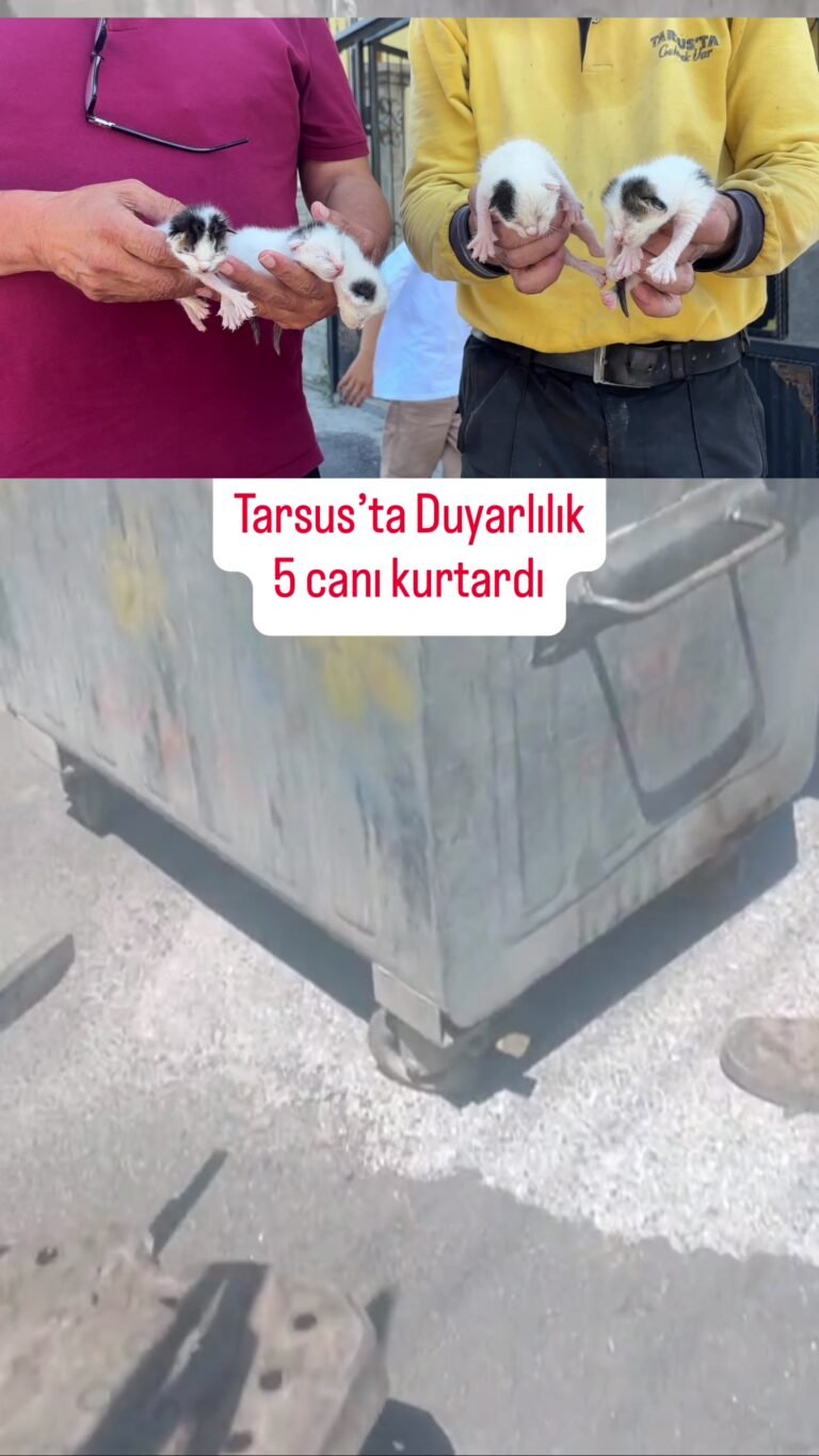 Tarsus’ta Yarenlik Alanı’nda kaldırım ve yaya yollarını işgal eden işletmelere…