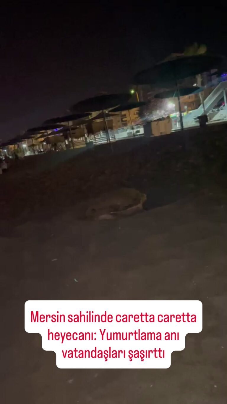 Muhat Kanyonu… Tarsus’un saklı cenneti. Karadan ulaşımın mümkün olmadığı bu…
