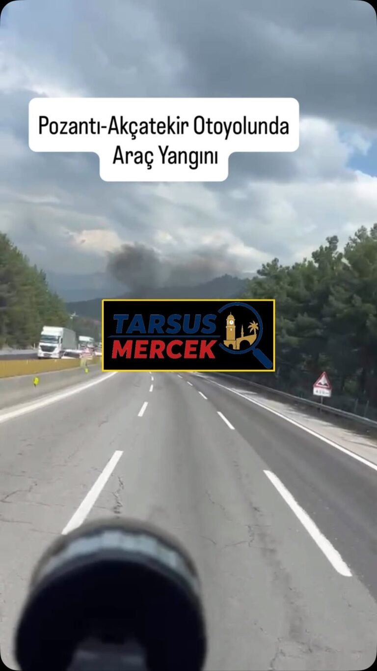 Duyarlı Vatandaştan Kedilere Sıcak Yuva…