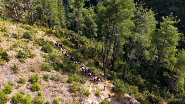 Mersin Büyükşehir Güleryüz Kavşağı’nda Akıllı Trafik Düzenlemesi Yaptı