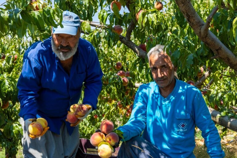 Mezitli’de Bozulan Yollar Sıcak ve Sathi Asfaltla Yenilendi