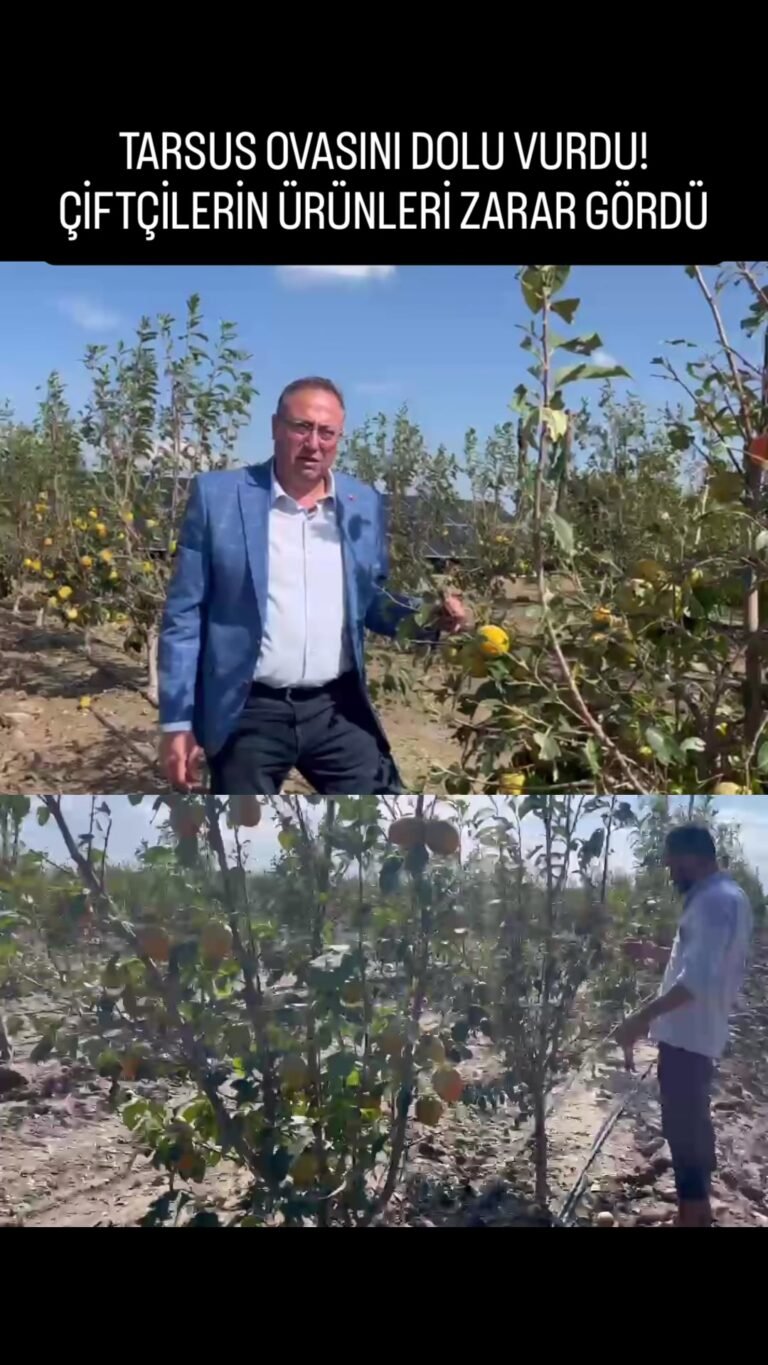 Erdemli Belediyesi Kadın Çiftçileri Desteklemeye Devam Ediyor