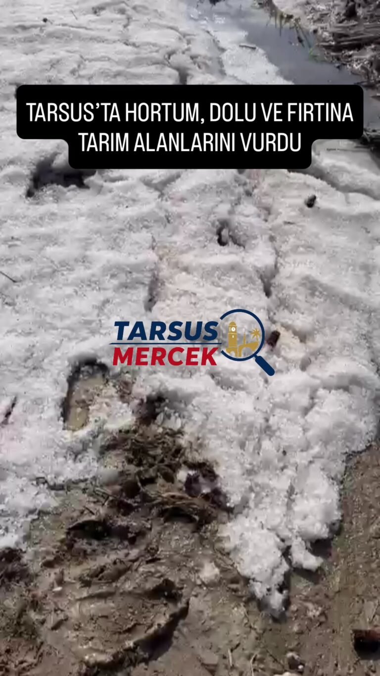 TARSUS OVASINI DOLU VURDU! ÇİFTÇİLERİN ÜRÜNLERİ ZARAR GÖRDÜ Tarsus’a bağlı…