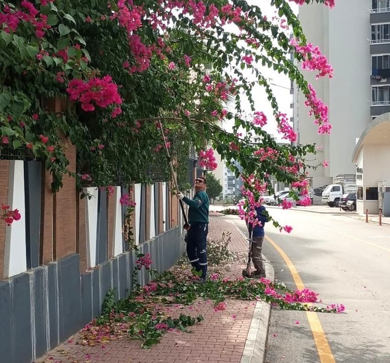 Mersin Büyükşehir Belediyesi Başkan Vekili Gülşah Yıldırım Genç Oldu